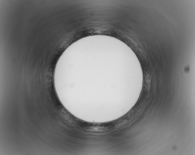 X0000116390657201001131831
