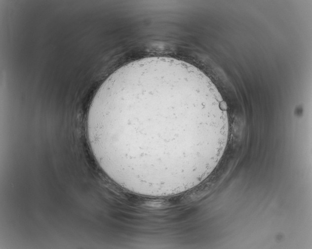 X0000116390659201001131831