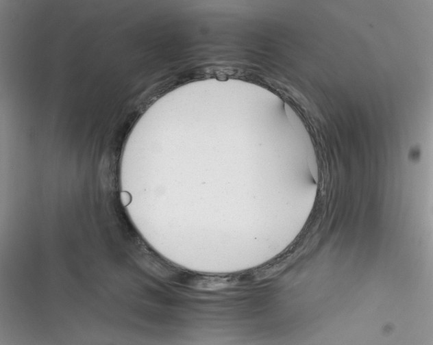 X0000116390661201001131831