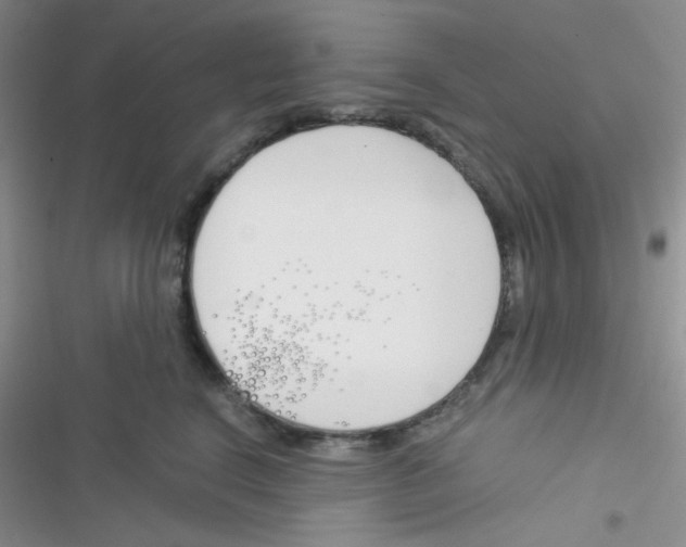 X0000116390664201001131831