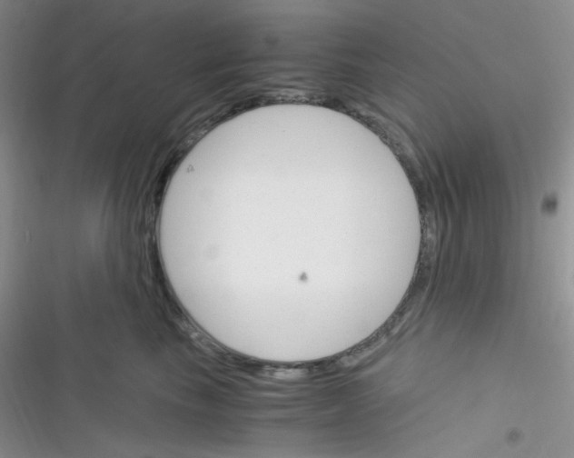 X0000116390665201001131831