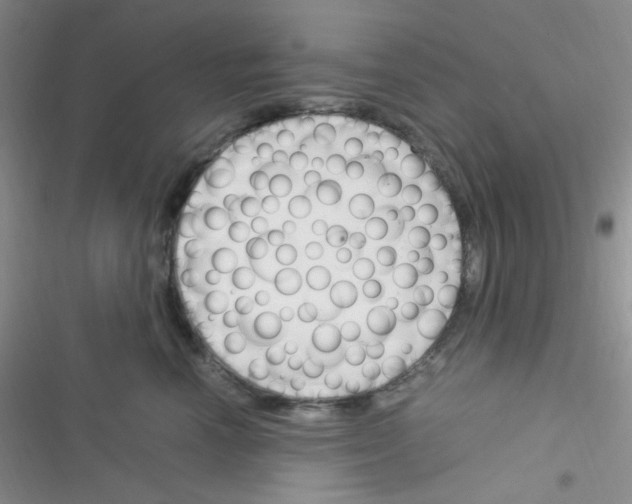 X0000116390666201001131831