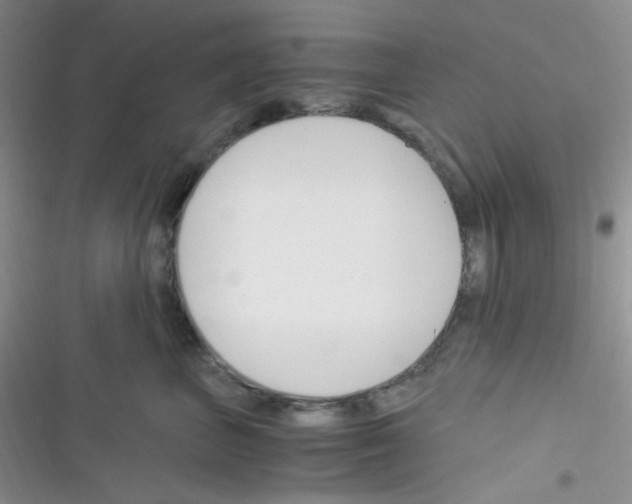 X0000116390667201001131831
