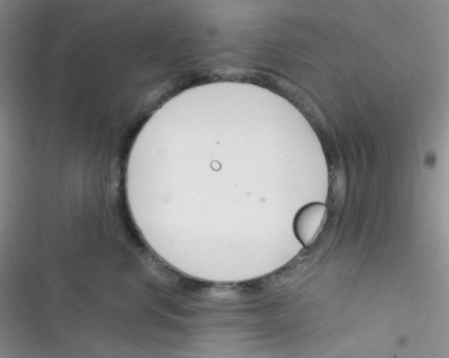 X0000116390668201001131831
