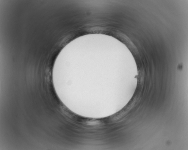 X0000116390669201001131831