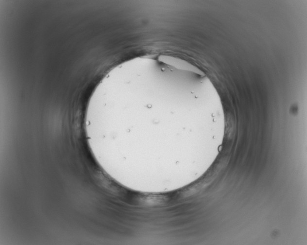 X0000116390670201001131831