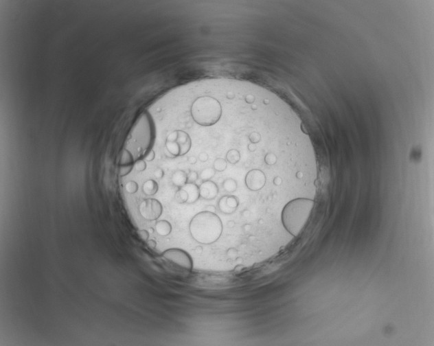 X0000116390671201001131831