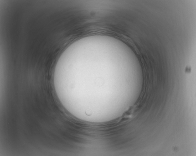 X0000116390672201001131831