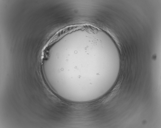 X0000116390673201001131830