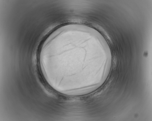 X0000116390674201001131830