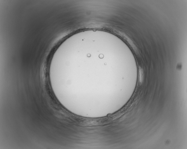 X0000116390675201001131830