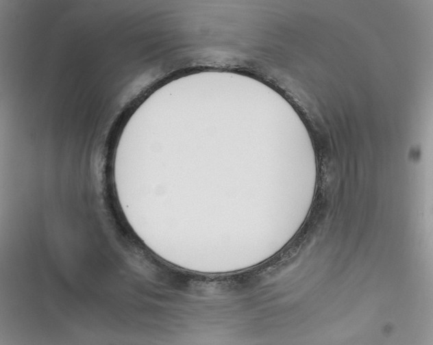 X0000116390679201001131830