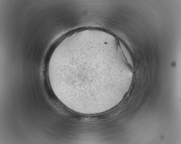 X0000116390680201001131830