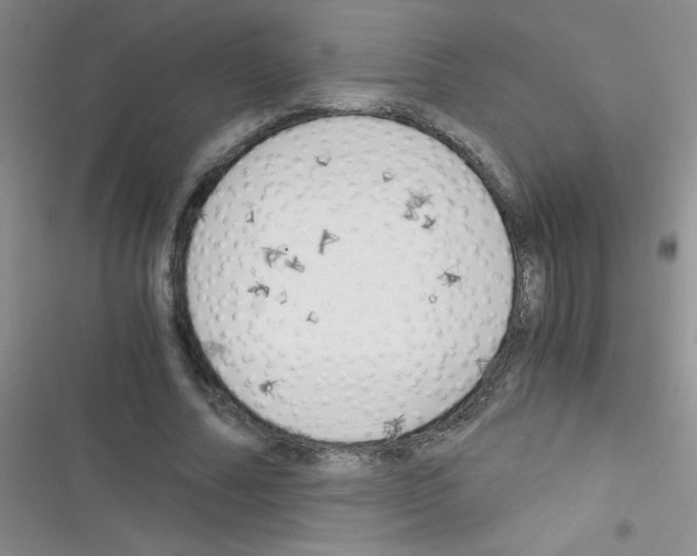 X0000116390682201001131830
