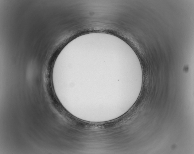 X0000116390683201001131830