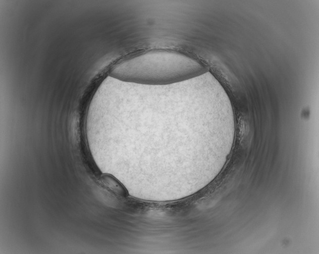X0000116390684201001131830