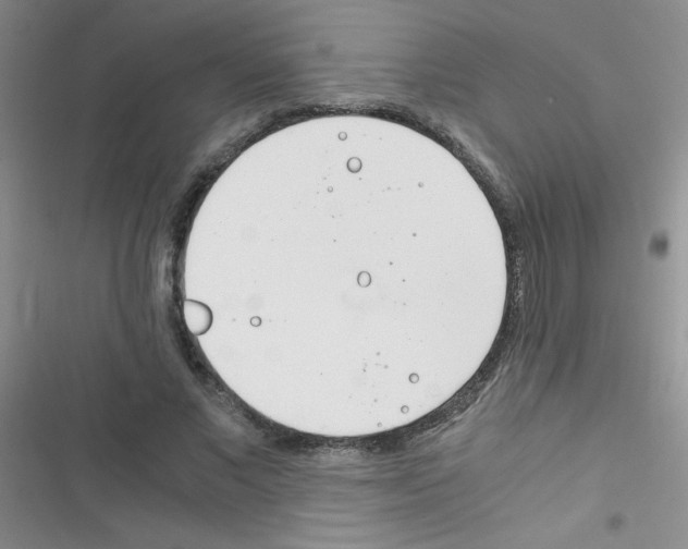 X0000116390685201001131830