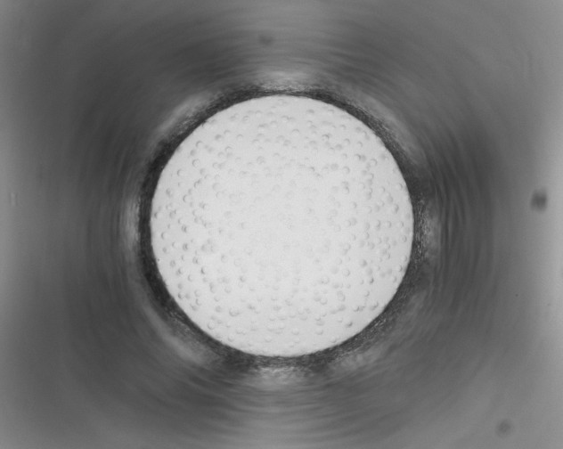 X0000116390686201001131830