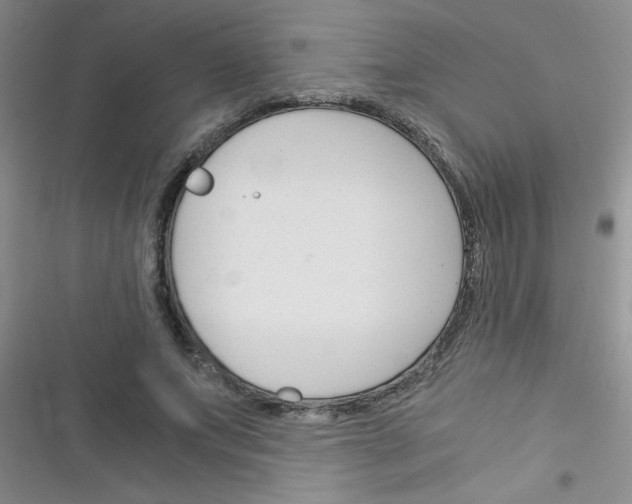 X0000116390687201001131830
