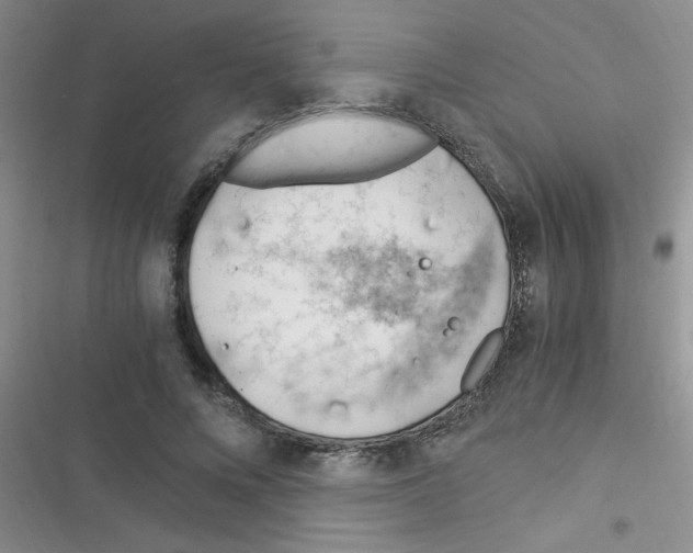 X0000116390688201001131830