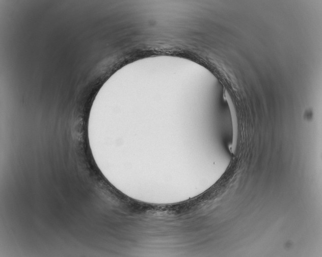 X0000116390689201001131830