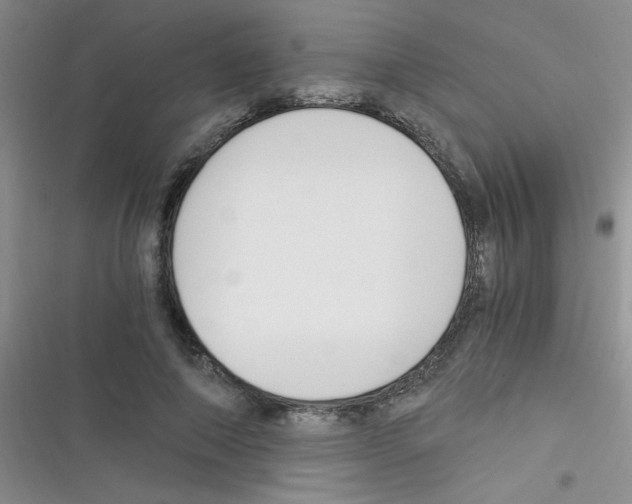 X0000116390690201001131830