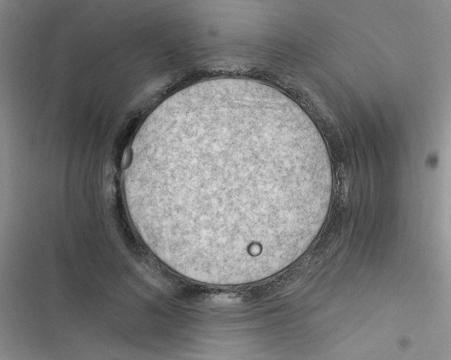X0000116390692201001131830