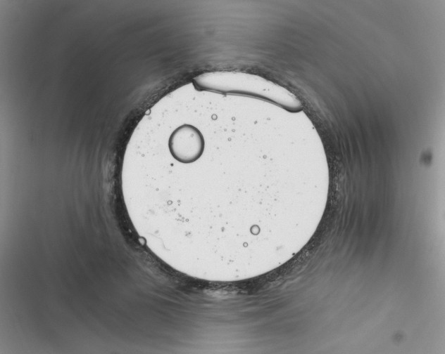 X0000116390693201001131830