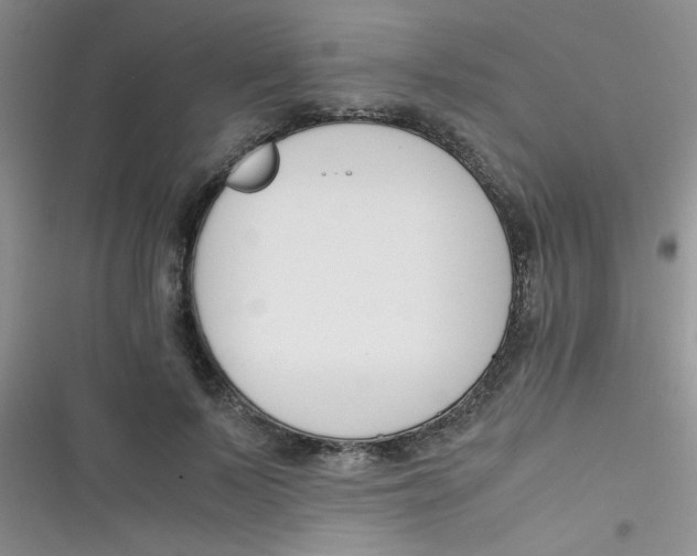X0000116390695201001131830