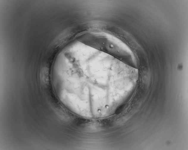 X0000116390696201001131830