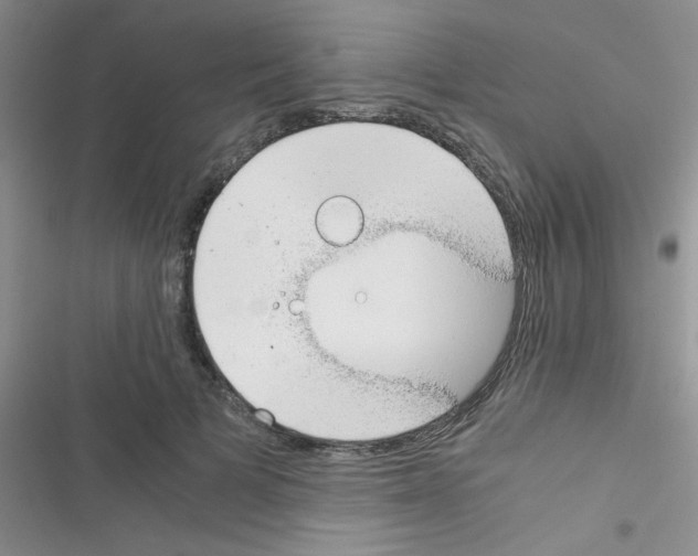 X0000116390697201001131830