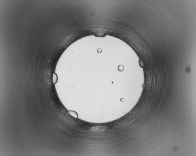X0000116390700201001131830