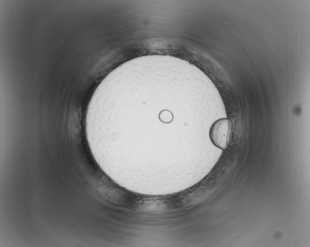 X0000116390702201001131830