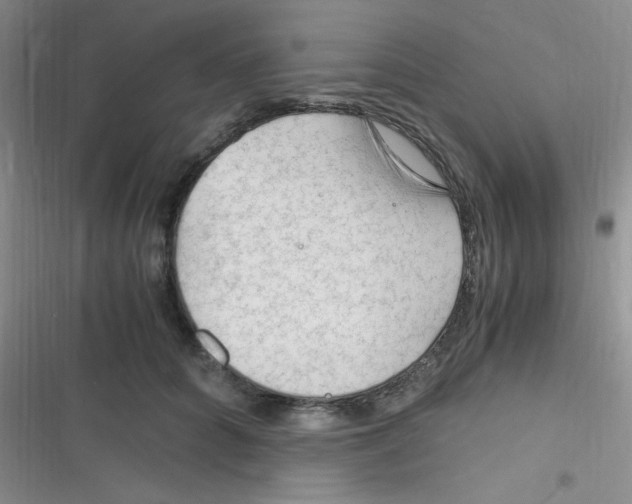 X0000116390704201001131830
