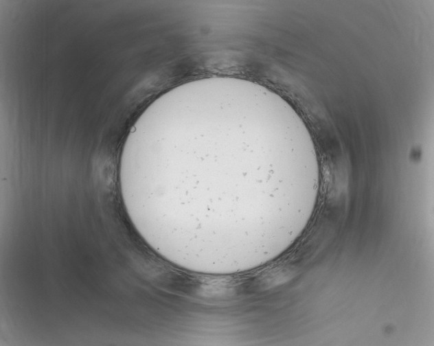 X0000116390705201001131830