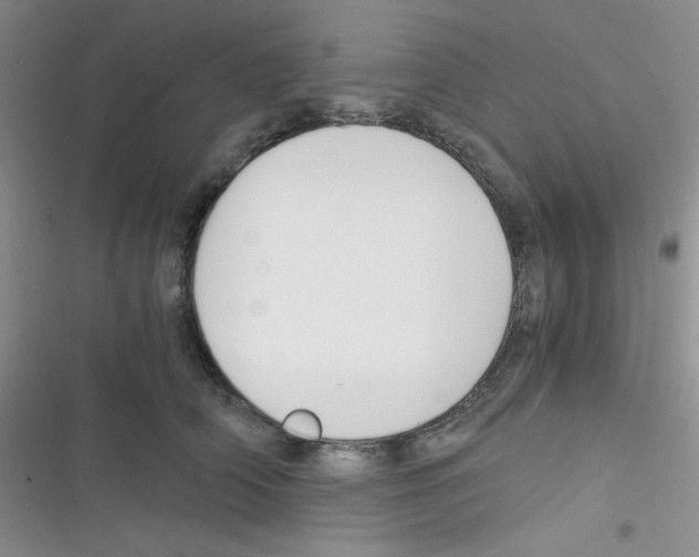 X0000116390706201001131830