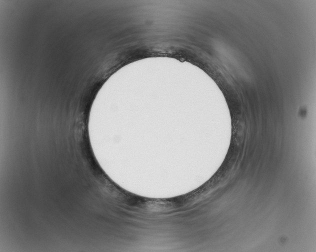 X0000116390707201001131830