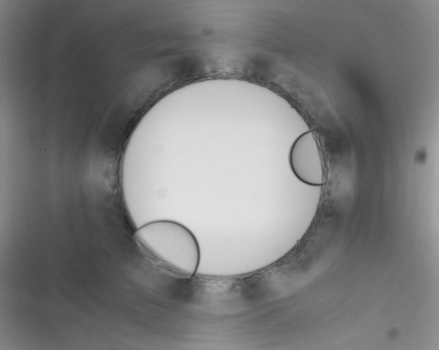 X0000116390709201001131830