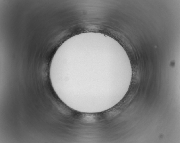 X0000116390710201001131830