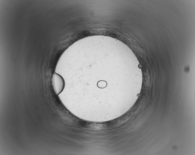X0000116390711201001131830