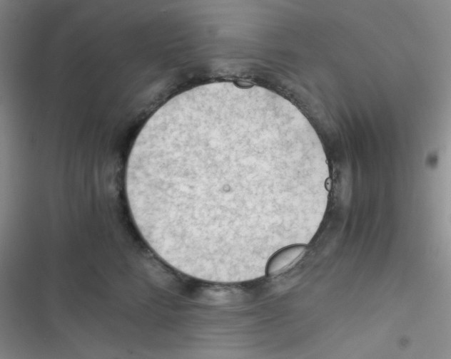 X0000116390712201001131830