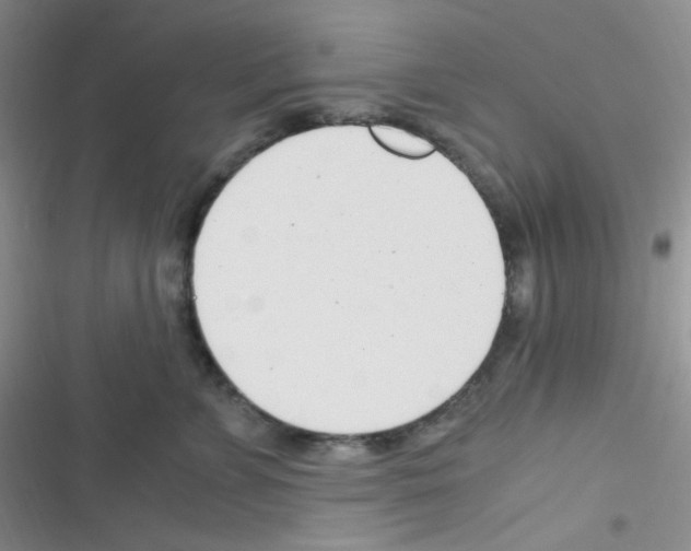X0000116390715201001131830