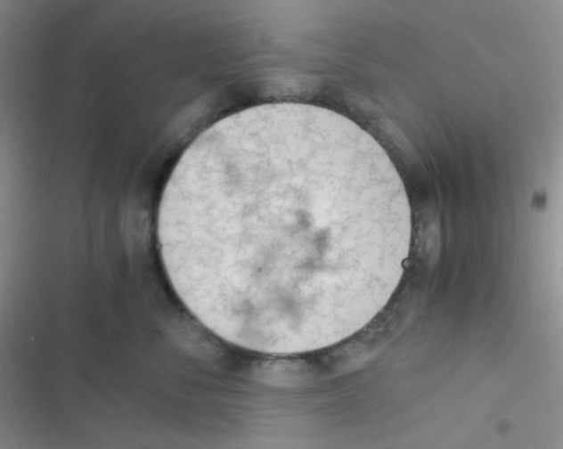 X0000116390716201001131830