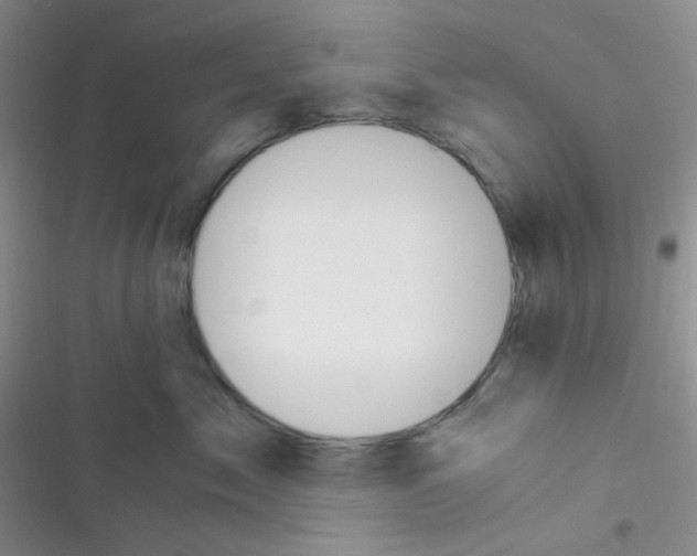 X0000116390717201001131830