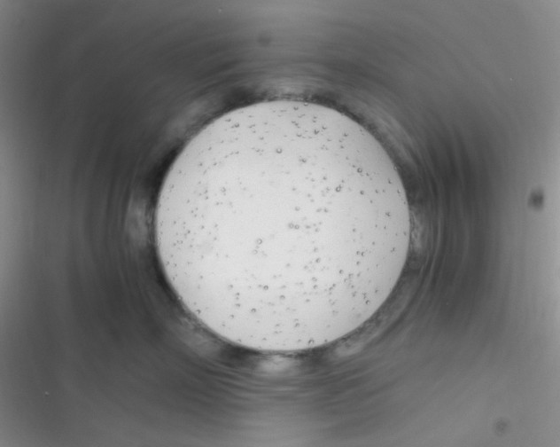 X0000116390718201001131830