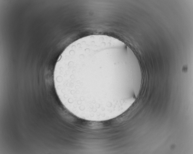X0000116390719201001131830