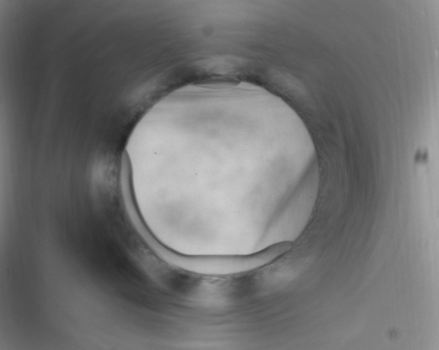 X0000116390720201001131830