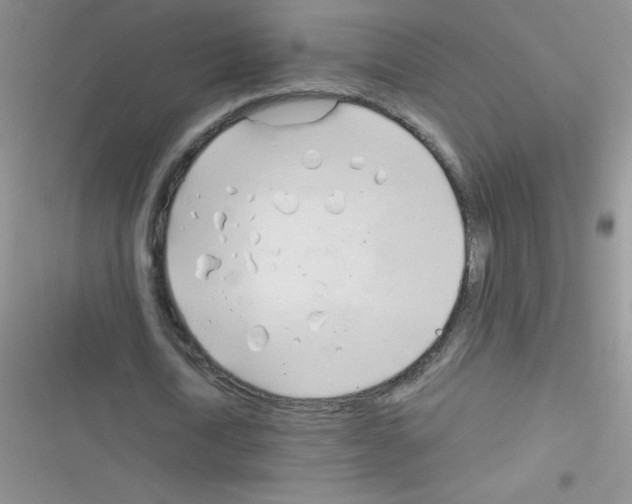 X0000116390722201001131829