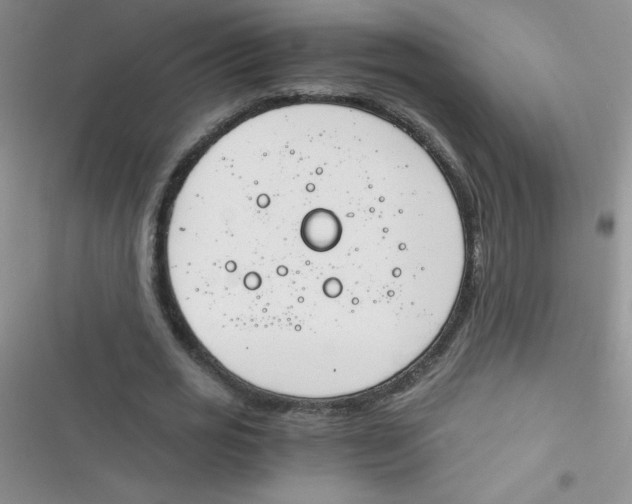 X0000116390725201001131829