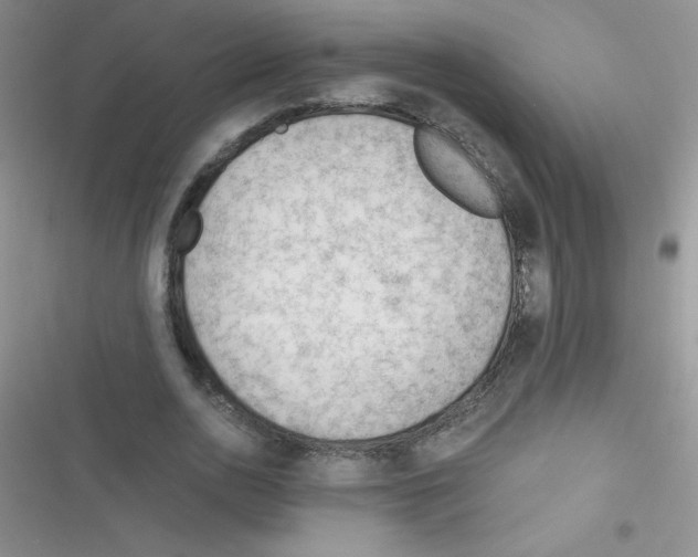 X0000116390726201001131829